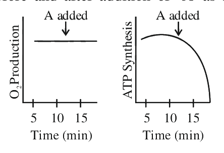 Question 59 image