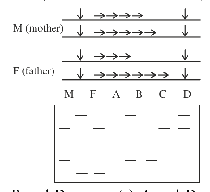 Question 59 image