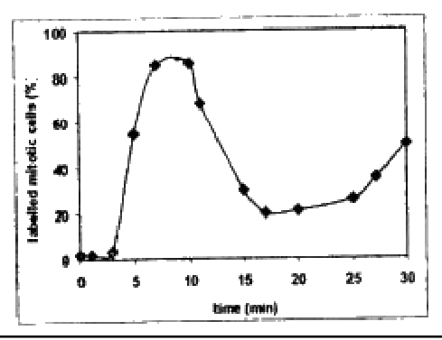 Question 60 image