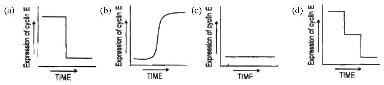 Question 61 image