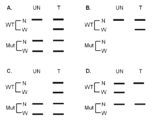 Question 66 image