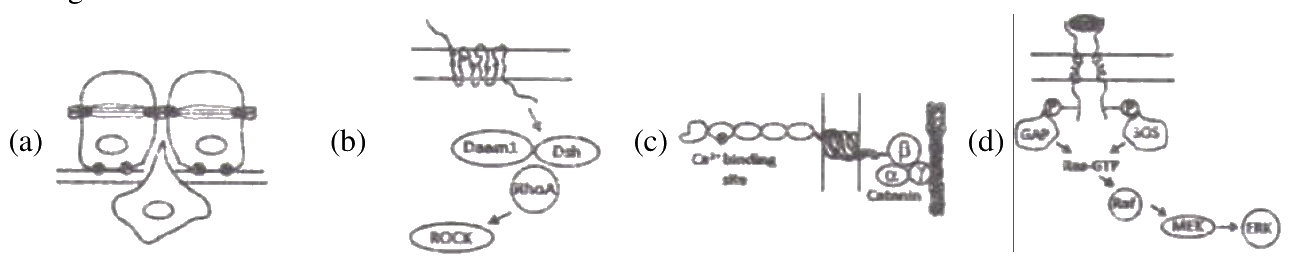 Question 68 image