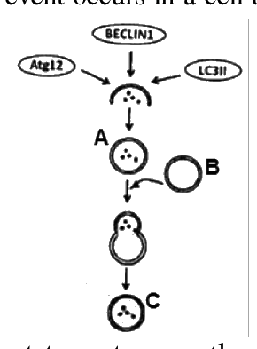 Question 71 image