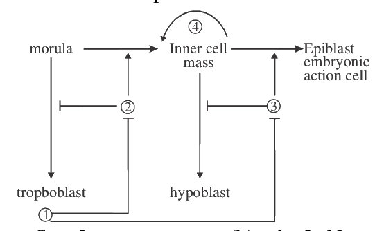 Question 77 image