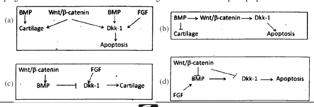 Question 78 image
